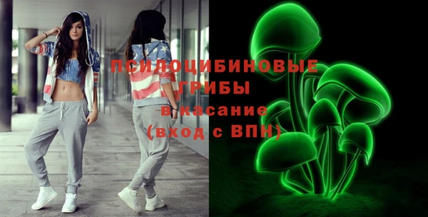 МДПВ Абинск